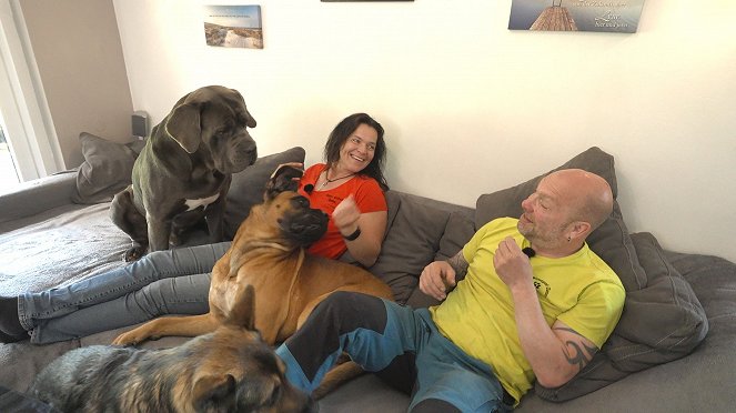 Die großen Hunde - Kuvat elokuvasta