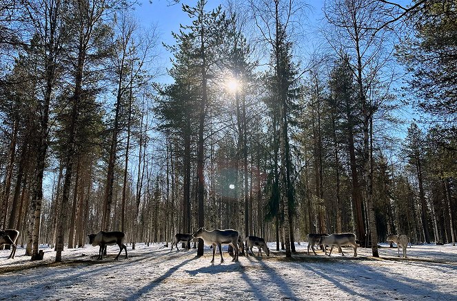 Finnland - Winter im hohen Norden - Filmfotók