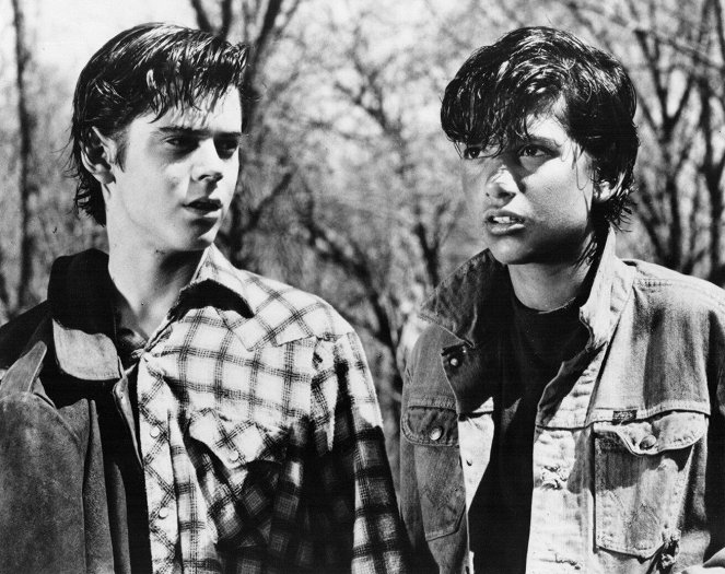 The Outsiders: The Complete Novel - Filmfotos - C. Thomas Howell, Ralph Macchio