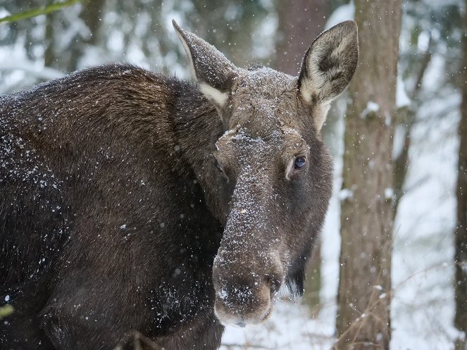 Poland's Wild East - Photos