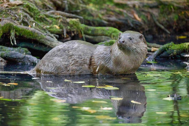 Poland's Wild East - Photos