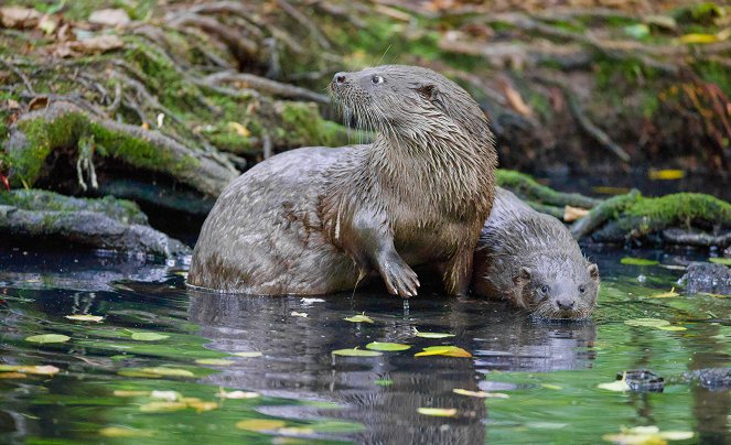 Poland's Wild East - Photos