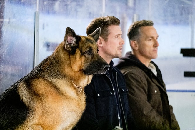 Hudson & Rex - Sudden Death - Photos - Diesel vom Burgimwald, John Reardon, Elvis Stojko