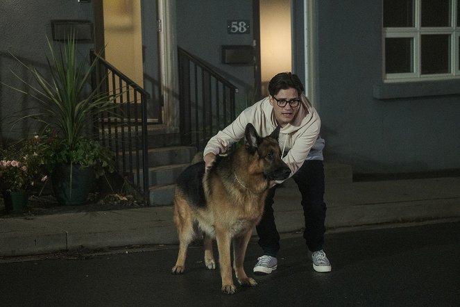Rex Kanadában - Season 4 - Jesse kutyaszorítóban - Filmfotók - Diesel vom Burgimwald a kutya, Justin Kelly