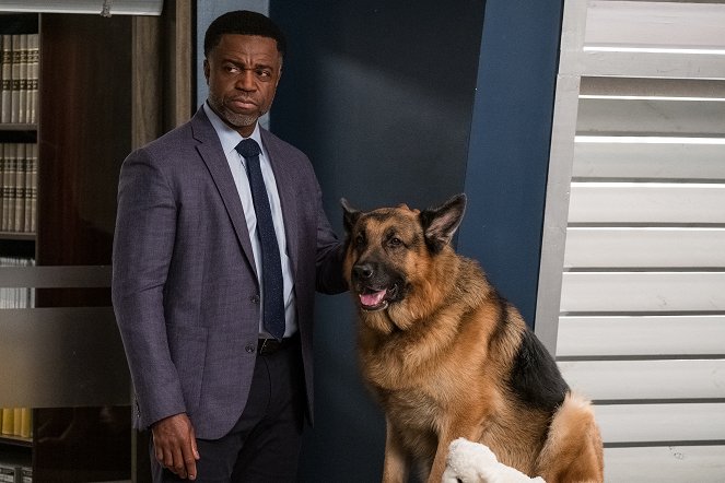 Hudson & Rex - Season 4 - Kein Mensch ist eine Insel - Filmfotos - Kevin Hanchard, Hund Diesel vom Burgimwald