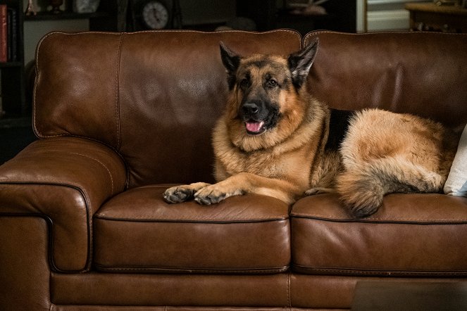 Hudson & Rex - Rosen haben Dornen - Filmfotos - Hund Diesel vom Burgimwald