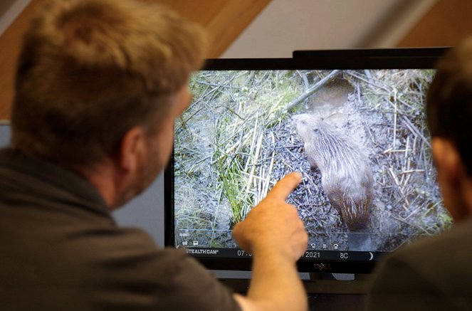 Metamorphosen - Die Wildnis kehrt zurück - Englands Biber – Der Chaos-Effekt - De la película