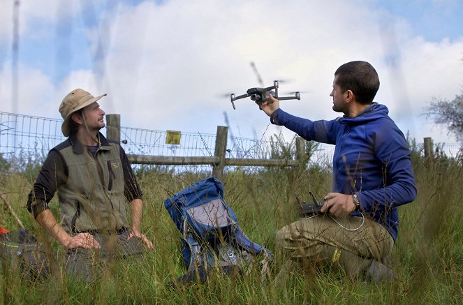 Metamorphosen - Die Wildnis kehrt zurück - Season 2 - Englands Biber – Der Chaos-Effekt - Photos