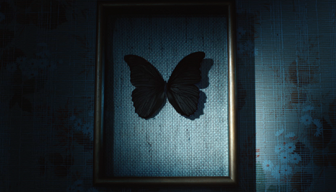 Les Papillons noirs - Episode 1 - Van film