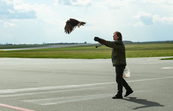 Zvířecí profesionálové - Ptáci, kteří hlídají letiště - Z filmu