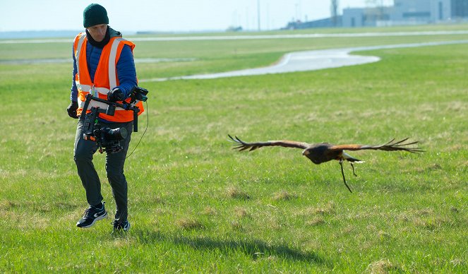 Zvířecí profesionálové - Ptáci, kteří hlídají letiště - Making of