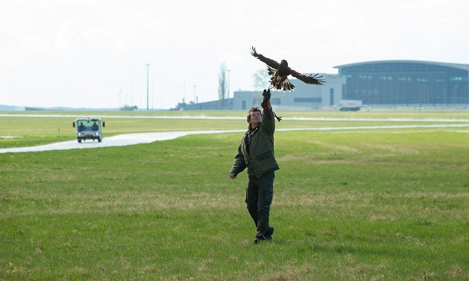 Zvířecí profesionálové - Ptáci, kteří hlídají letiště - Filmfotos