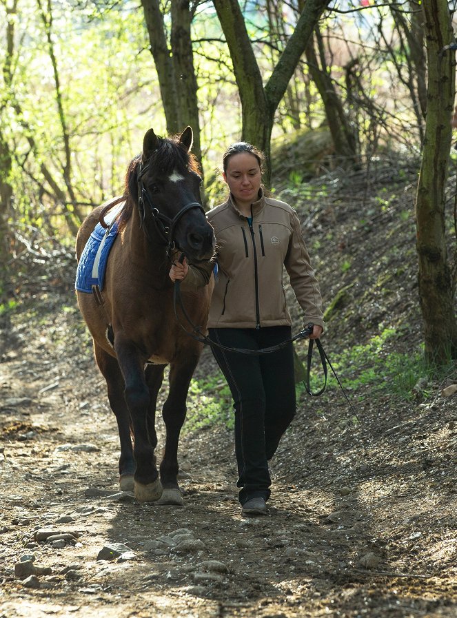 Zvířecí profesionálové - Kůň, který pomáhá uzdravovat - De la película