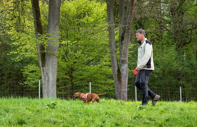 Zvířecí profesionálové - Koza, která umí trénovat - Film