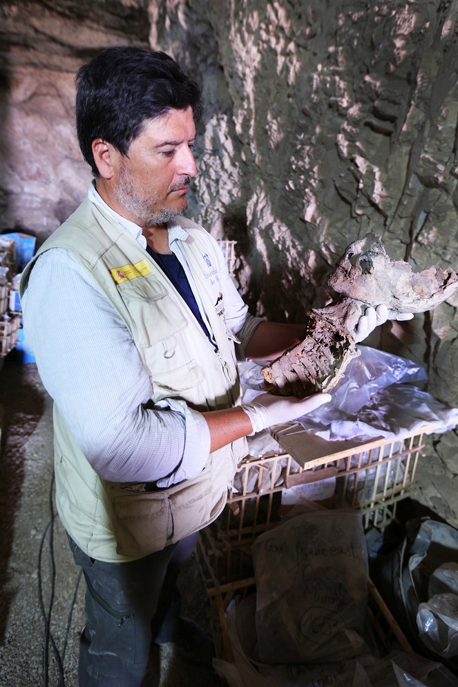 The Valley: Hunting Egypt's Lost Treasures - Tomb Raiders - Z filmu