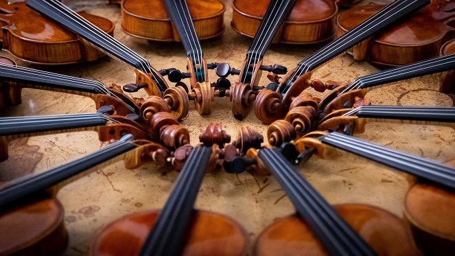 Janine Jansenová: Láska ke Stradivarimu - Z filmu