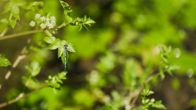 Garden Tales - Photos