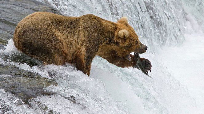 Kleine Fische ganz groß - Kuvat elokuvasta