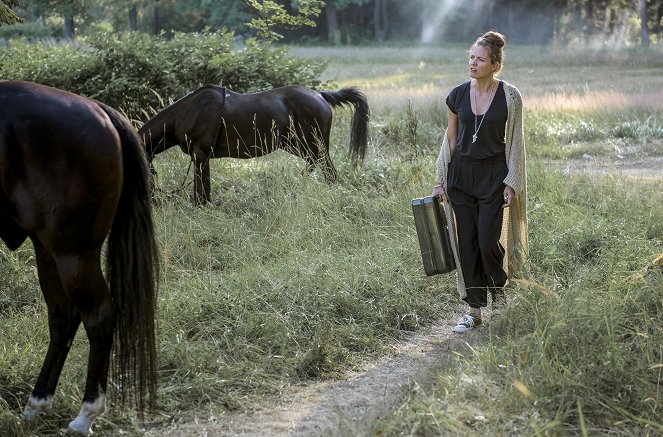 Trakehnerblut - Ein neuer Tag - Filmfotók