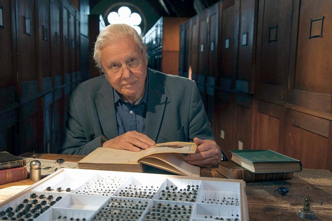David Attenborough's Natural Curiosities - Season 4 - Finding the Way - Van film