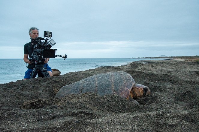 Animals With Cameras - Oceans - Kuvat elokuvasta