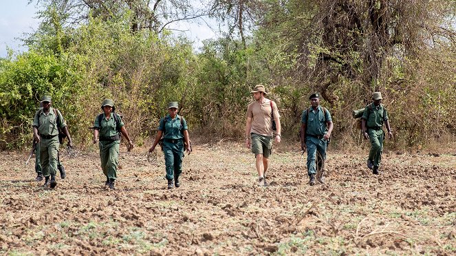 Wild Dogs: Running With The Pack - Photos