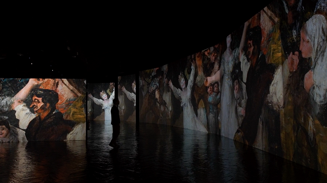 L'Ombre de Goya par Jean-Claude Carrière - Van film