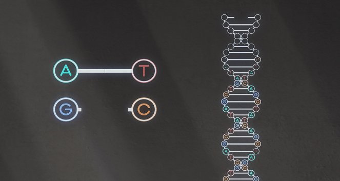 Prolomit kód - Genom člověka - Z filmu