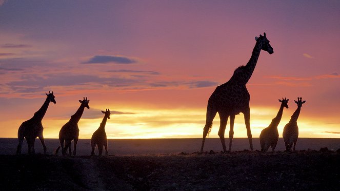 Masai Mara: Křižovatka divokého života - Z filmu