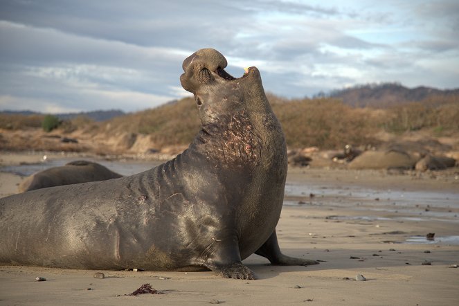 Super/Natural - The Mating Game - Photos