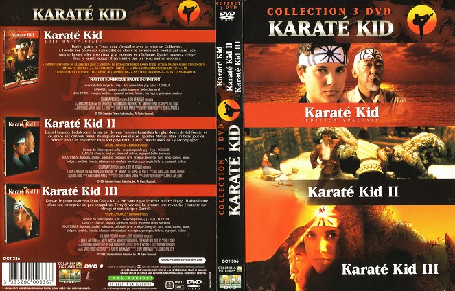 Karate Kid, el momento de la verdad - Carátulas