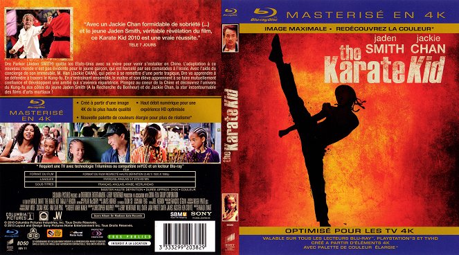 The Karate Kid - Carátulas