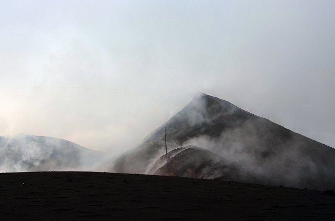 Der Vulkan von La Palma - Die Rückkehr des Lebens - Kuvat elokuvasta