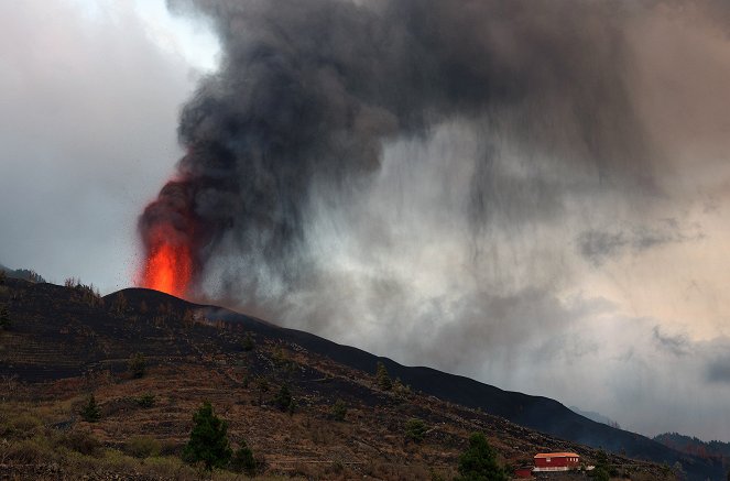 Der Vulkan von La Palma - Die Rückkehr des Lebens - Kuvat elokuvasta