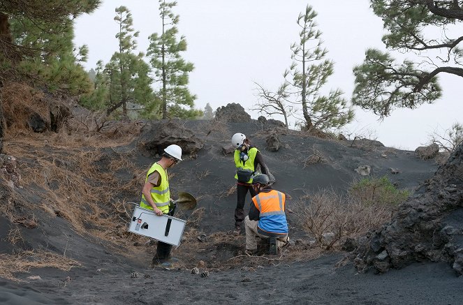 Of Lava and Life - The Volcano Eruption on La Palma - Photos