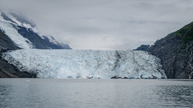 Terra X: Faszination Erde - mit Dirk Steffens: Alaska - im ewigen Frühling - Photos