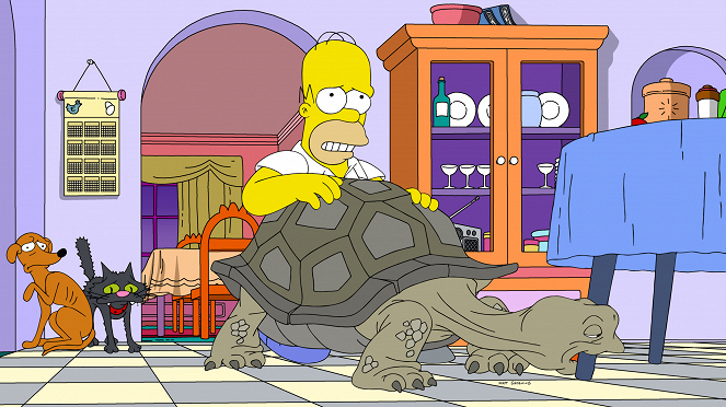 Simpsonit - Season 34 - Habeas Tortoise - Kuvat elokuvasta