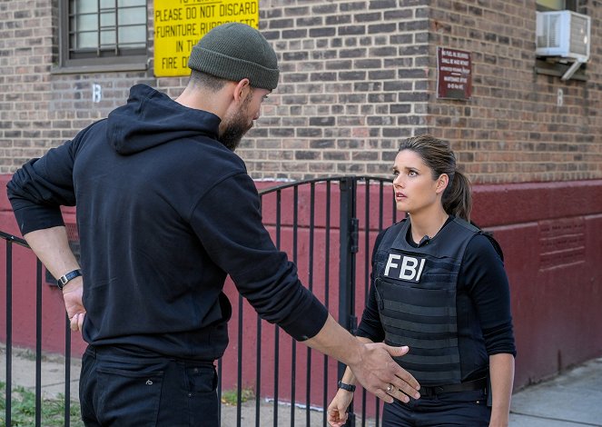 F.B.I. - Season 4 - Gone Baby Gone - Film - Missy Peregrym