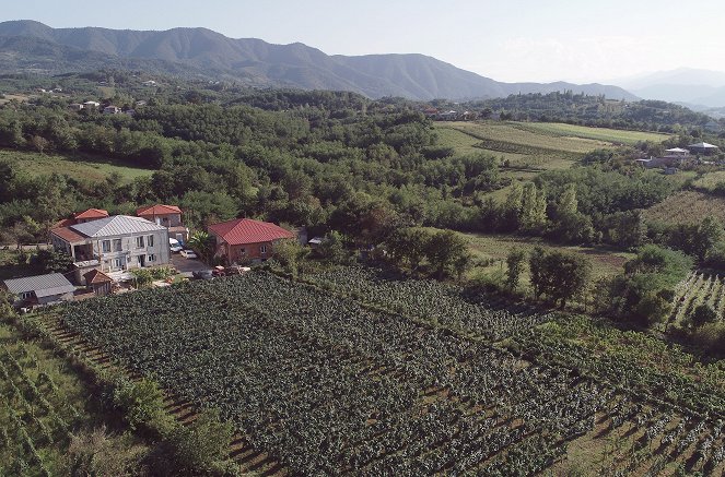 Baia und der Wein - Ein wahres Märchen aus Georgien - Film