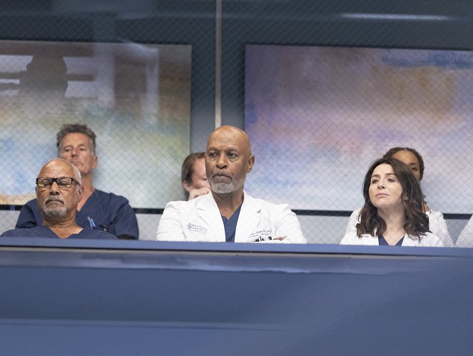 Grey's Anatomy - Season 19 - Everything Has Changed - Photos - James Pickens Jr., Caterina Scorsone