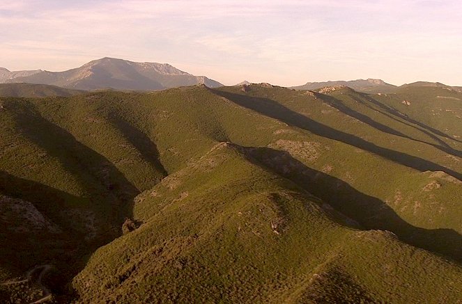 La Corse, beauté sauvage - Un monde végétal - Z filmu