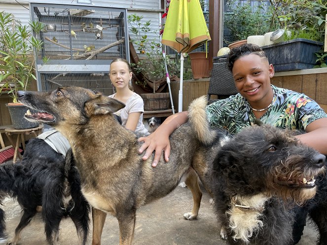 Das Tierschutzteam - Pfötchenparadies - Photos