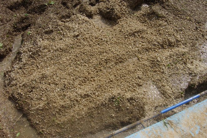 Disappearing Soil - Photos