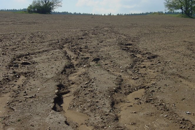 Disappearing Soil - Photos