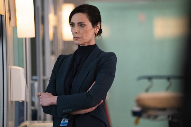 New Amsterdam - Two Doors - Photos - Michelle Forbes
