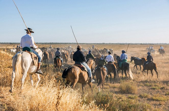 Abenteuer Spanien - Do filme