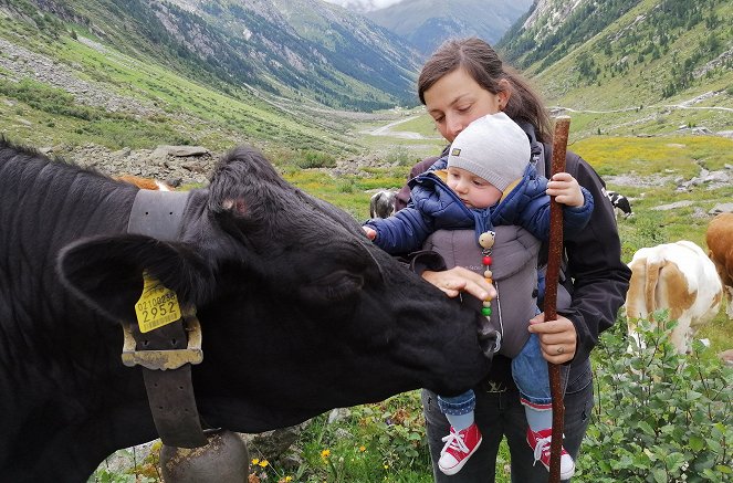 Auf uralten Pfaden - Viehtriebe im Hochgebirge - Filmfotos