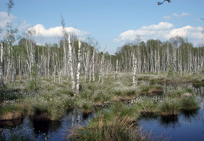 Abenteuer Wildnis: Das Steinhuder Meer - Niedersachsens wilder See - Photos