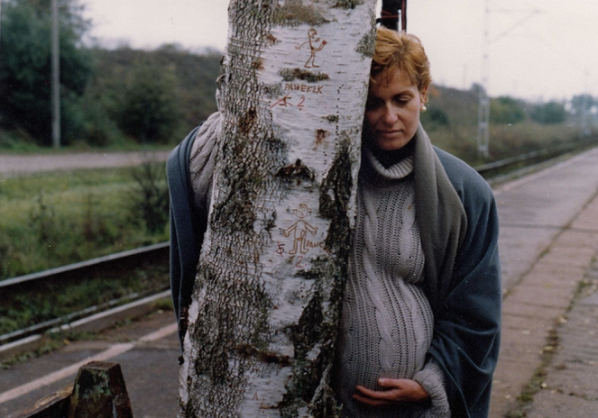 Drzewa - Film - Ewa Kasprzyk