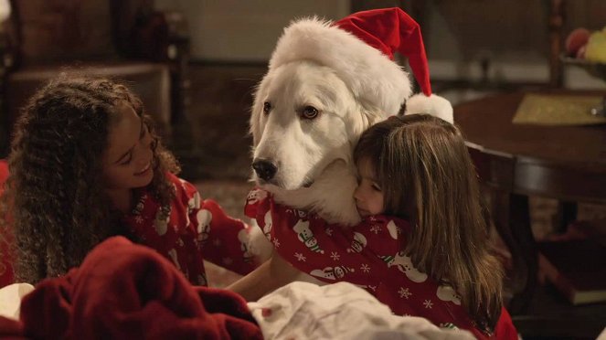 Karácsonyi kutyabalhé - Filmfotók